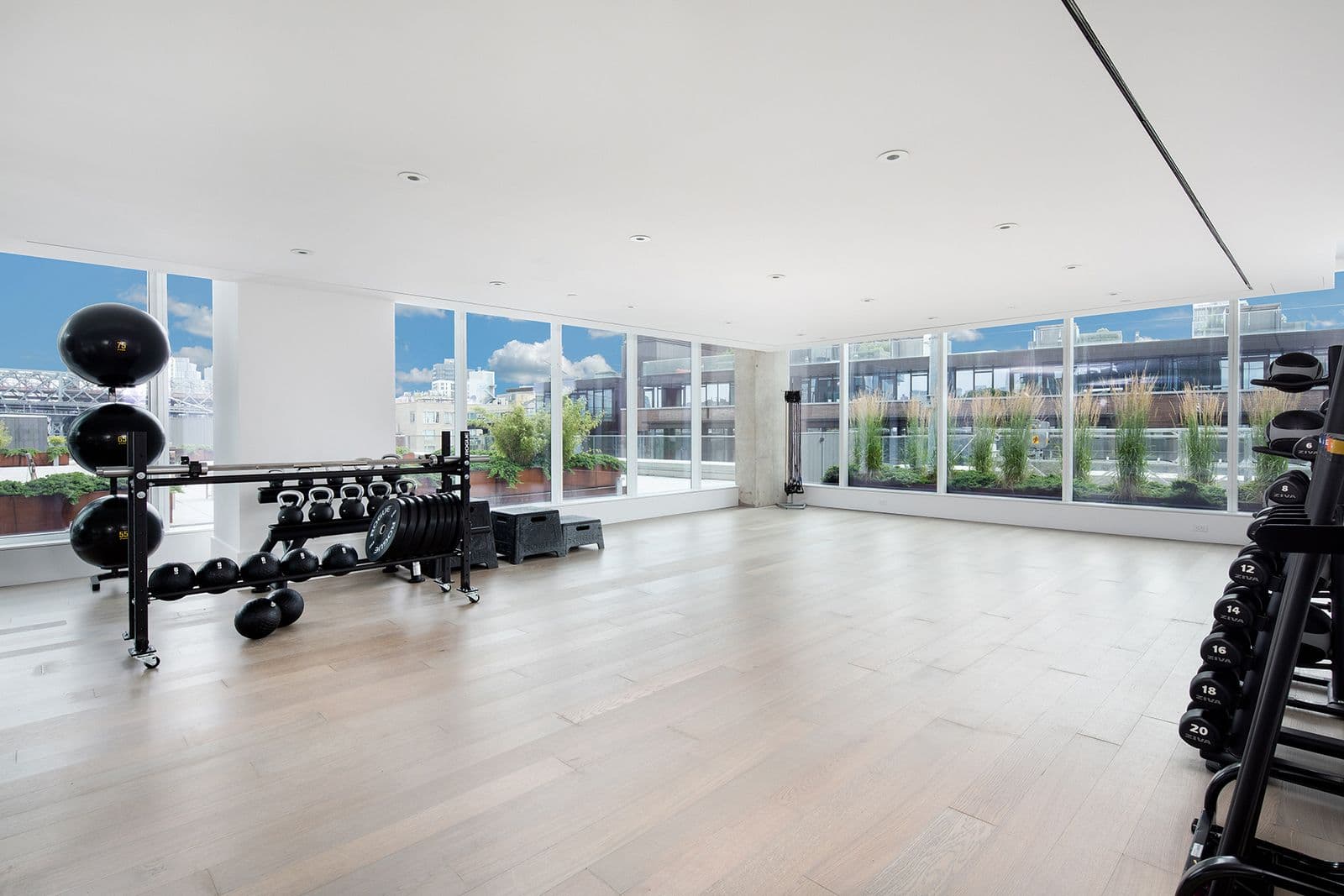 420 Kent Movement Studio with wood floor, large windows, weights and yoga balls