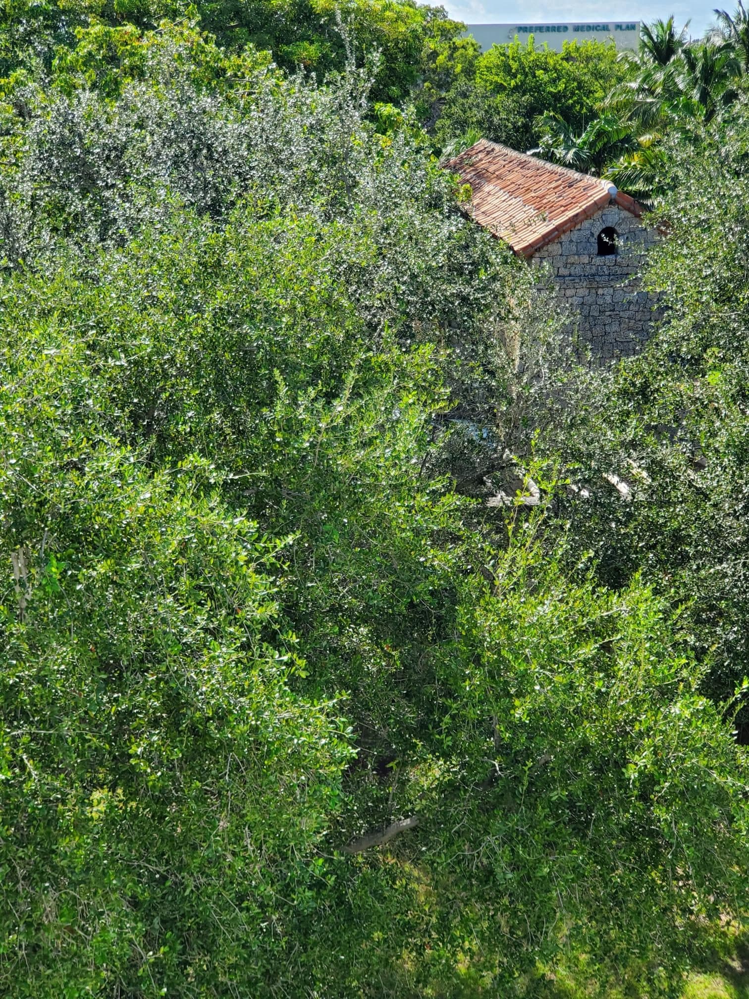 20190916_160906-1512x2016-1512x2016.jpg