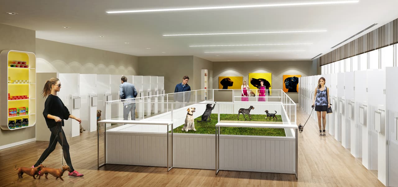 Pet Spa and Hotel.jpg