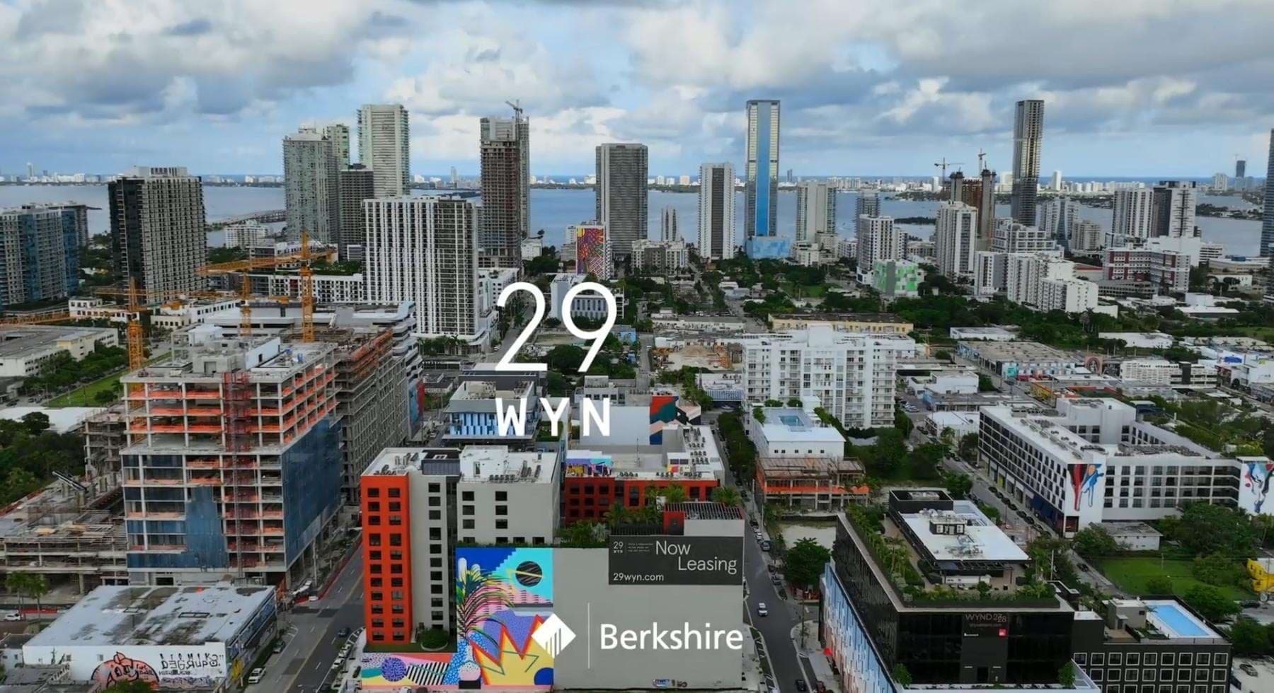 29 Wyn
